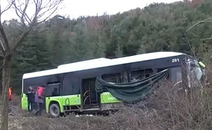 Yolcu otobüsü ormana uçtu!