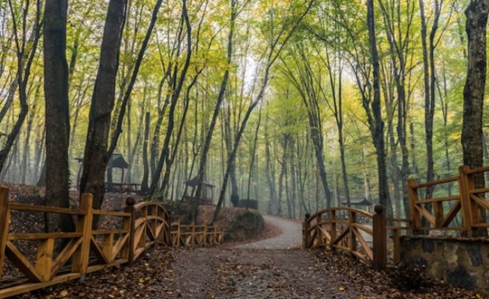 Ķocaeli'de ormanlarda piknik yapmak yasaklandı