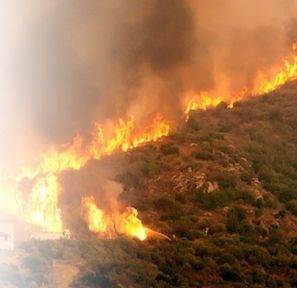 Boğaz'da orman yangını meydana geldi!