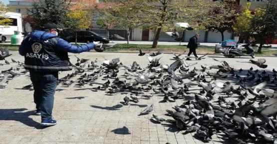 Gebze Polisi Kuşları Doyurdu
