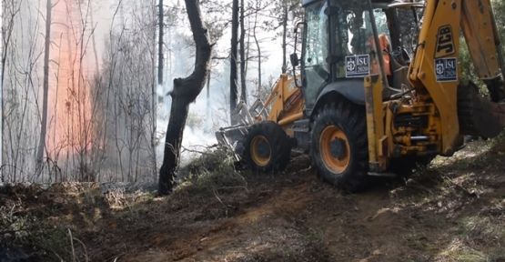 Gebze'de ormanlık alan alev alev yandı!