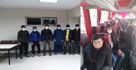 Kocaeli'de 19 düzensiz göçmen yakalandı!