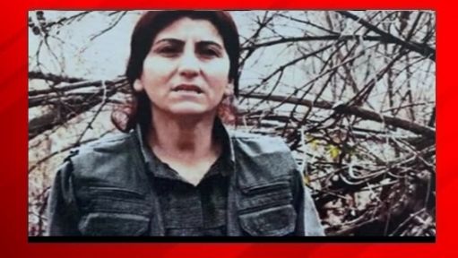 PKK'nın  kadın yapılanmasına darbe