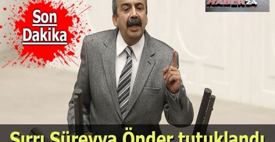 Sırrı Süreyya Önder Tutuklandı