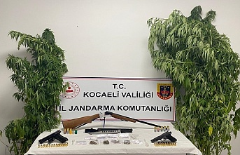 Jandarmadan Karamürsel'de uyuşturucu baskını