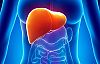 Karaciğer Hastalık Belirtileri Neler ?