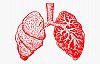 Solunum ve Akciğer Rahatsızlıkları 