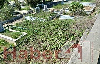 Gebze Belediyesi mezarlıkları bayramda unuttu!