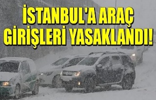 Trakya'dan İstanbul'a araç girişleri...