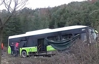 Yolcu otobüsü ormana uçtu!