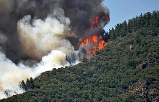 Marmaris'teki orman yangını kontrol altına...