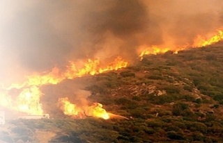 Muğla'da orman yangını! Alevler hızla yayılıyor