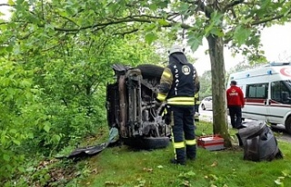 Ağaca çarpan araçtaki sürücü yaralandı!