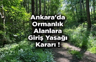 Ankara'da ormanlık alanlara giriş yasaklandı!