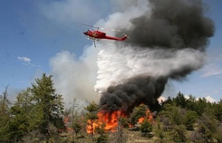 Kocaeli İtfaiyesi orman yangınlarına karşı uyardı