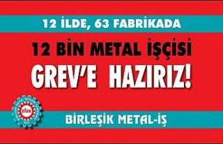 Birleşik Metal İş ve Türk Metal işçisi greve...