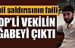 Erbil saldırısının faili HDP vekil'iniın ağabeyi...