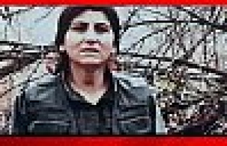 PKK'nın  kadın yapılanmasına darbe