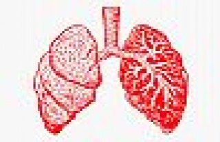 Solunum ve Akciğer Rahatsızlıkları 