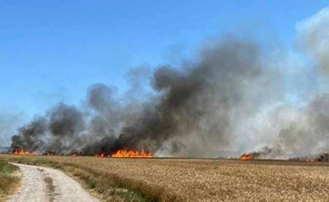 İstanbul il sınırında çıkan yangında 500 dönüm arazi küle döndü